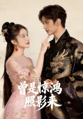 曾是惊鸿照影来全集