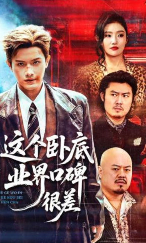 这个卧底业界口碑很差全集