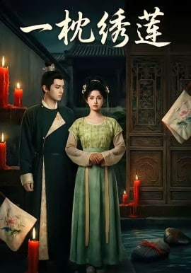 一枕绣莲全集