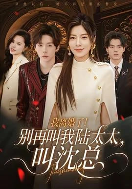 我离婚了！别再叫我陆太太，叫沈总全集