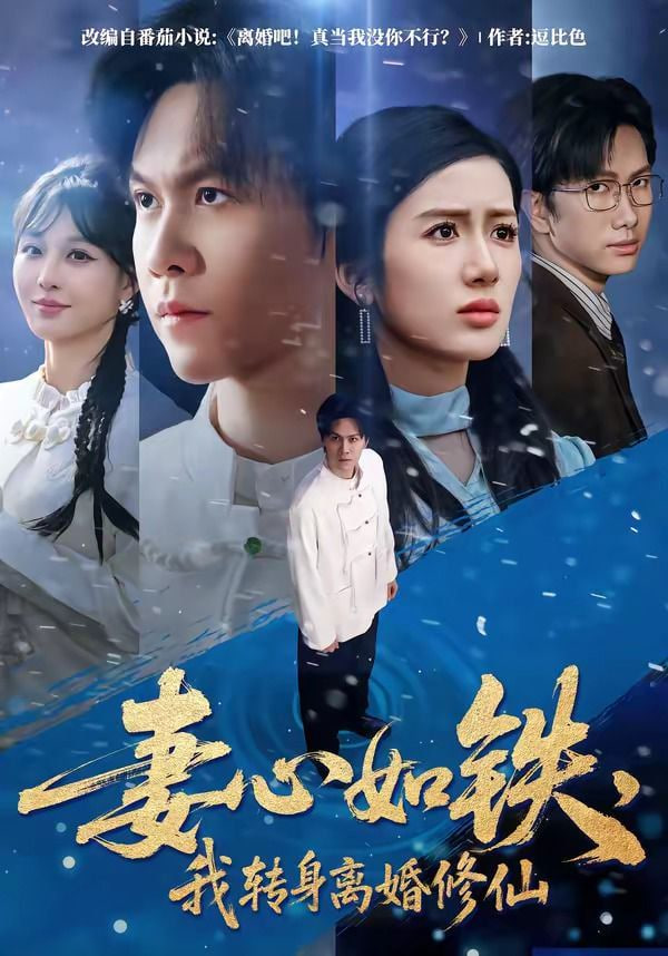 妻心如铁，我转身离婚修仙全集