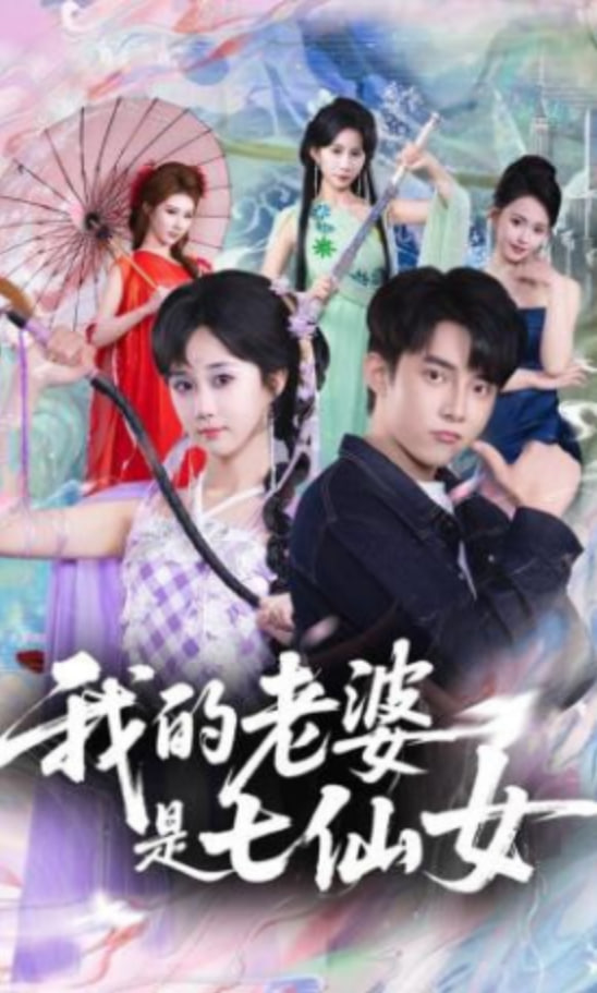 我的老婆是七仙女全集