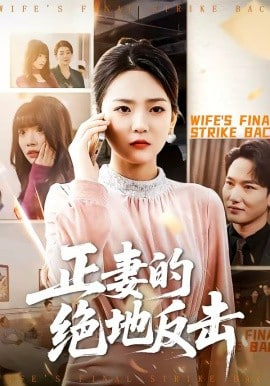 正妻的绝地反击全集