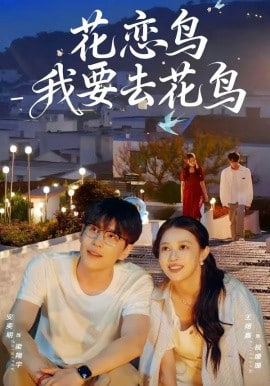 花恋鸟我要去花鸟全集