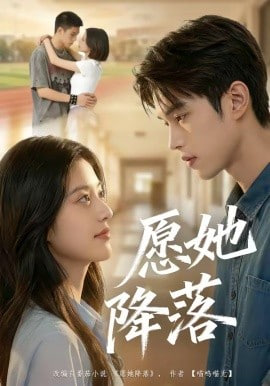 愿她降落全集