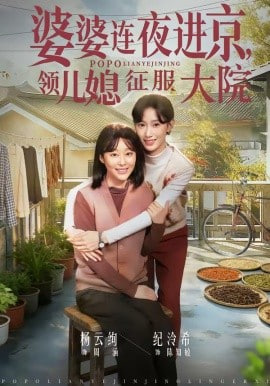 婆婆连夜进京，领儿媳征服大院全集