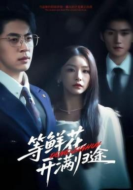 等鲜花开满归途全集