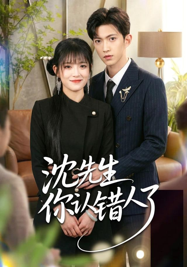 沈先生你认错人了全集