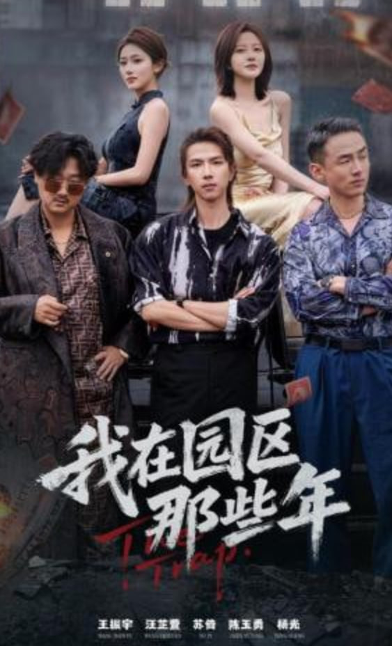 我在园区那些年全集