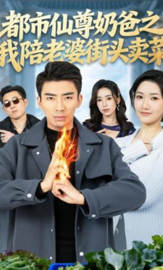 都市仙尊奶爸之我陪老婆街头卖菜全集