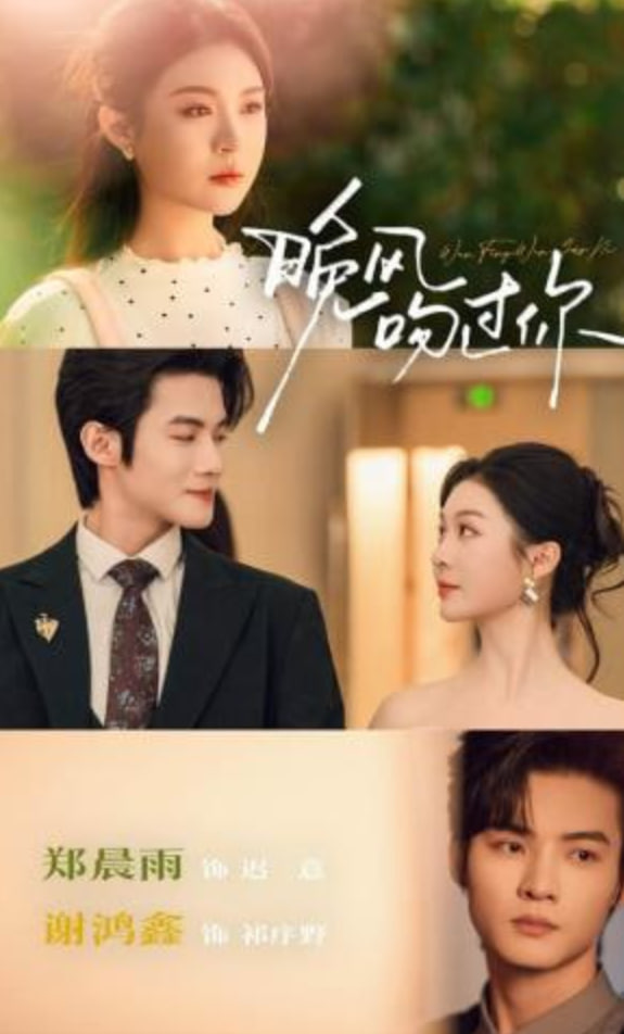 晚风吻过你全集