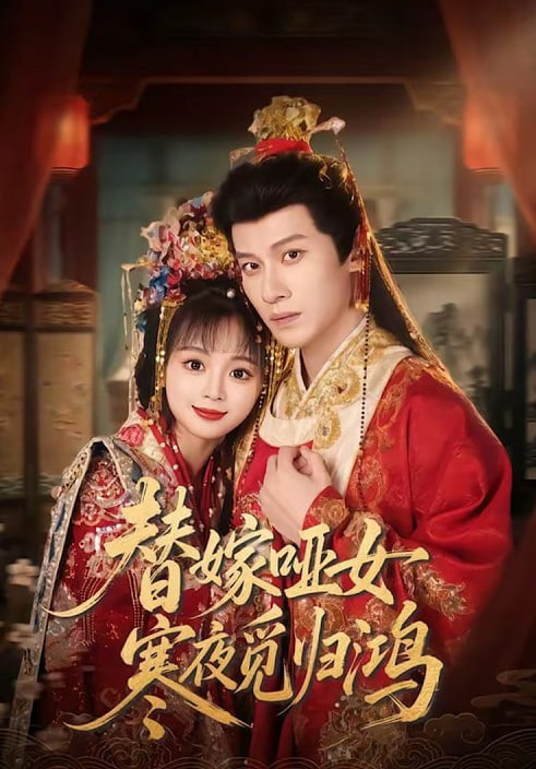 替嫁哑女寒夜觅归鸿全集