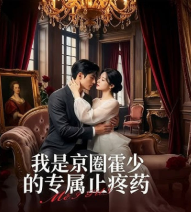 我是京圈霍少的专属止疼药全集