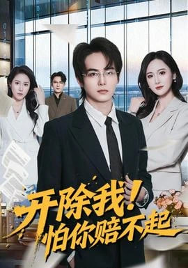 开除我！怕你赔不起全集