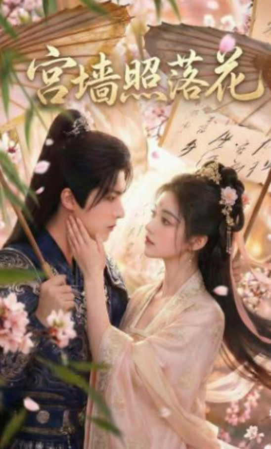 宫墙照落花全集