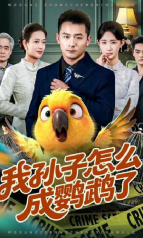 我孙子怎么成鹦鹉了全集