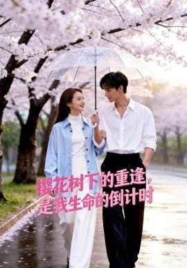 樱花树下的重逢，是我生命的倒计时全集