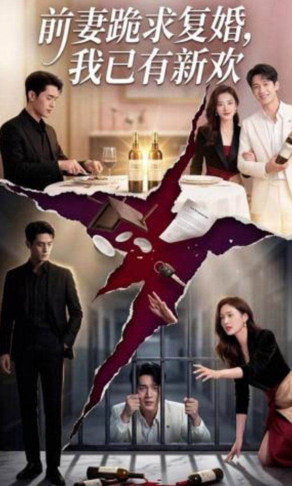 前妻跪求复婚，我已有新欢全集