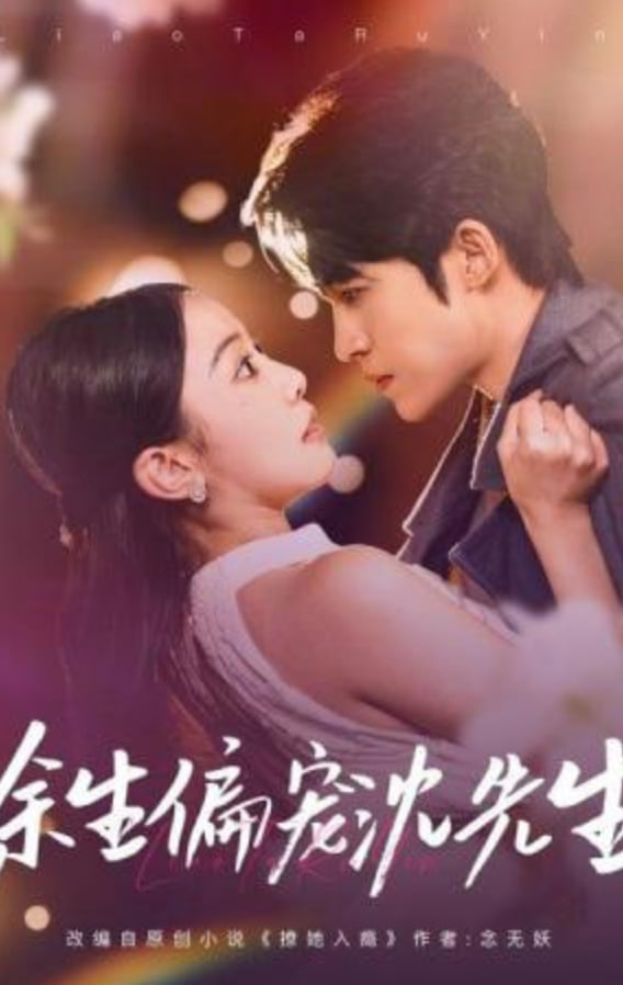 余生偏宠沈先生全集