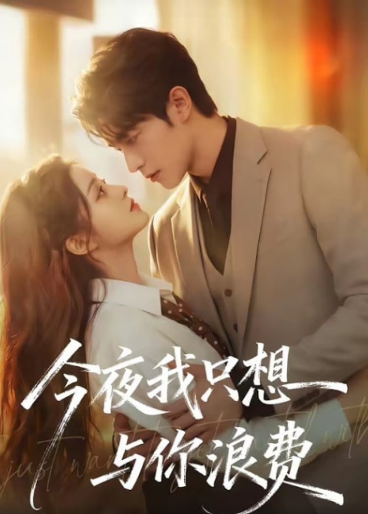 今夜我只想与你浪费全集