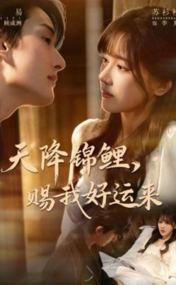 天降锦鲤，赐我好运来全集