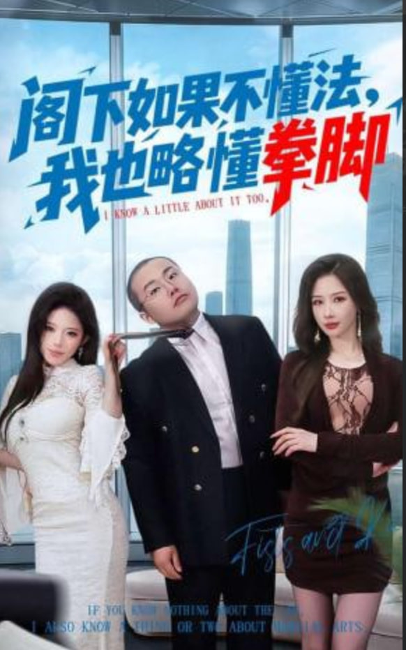 阁下如果不懂法，我也略懂拳脚全集