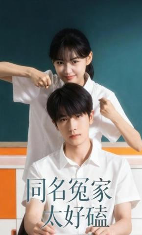 同名冤家太好磕全集