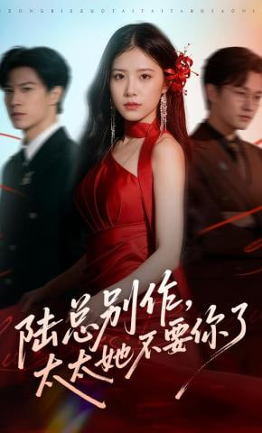 陆总别作，太太她不要你了全集