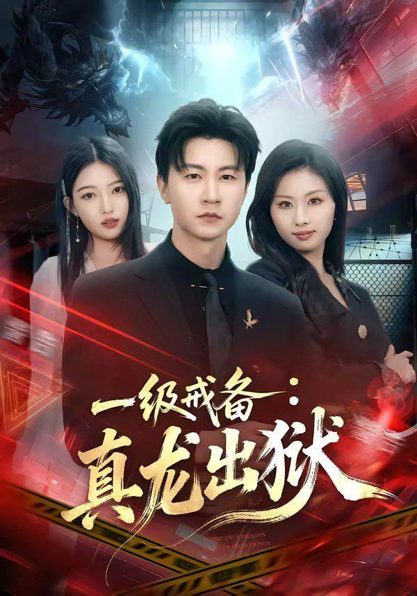 一级戒备：真龙出狱全集