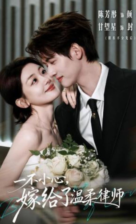 一不小心，嫁给了温柔律师全集