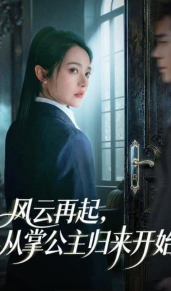 风云再起，从掌公主归来开始全集