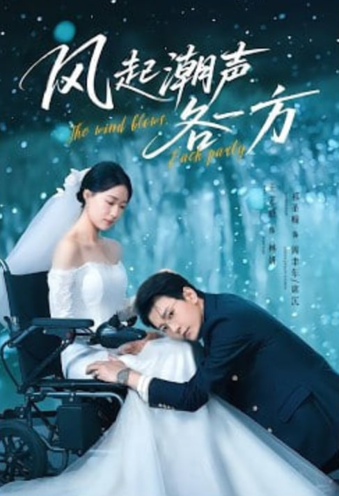 风起潮声各一方全集