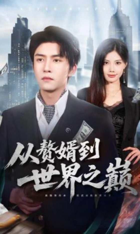 从赘婿到世界之巅全集