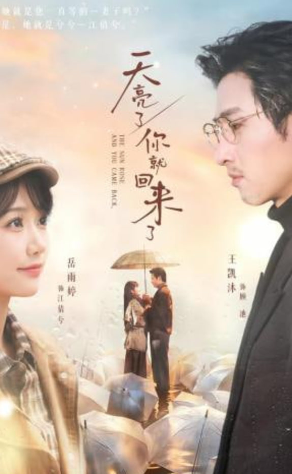 天亮了，你就回来了全集