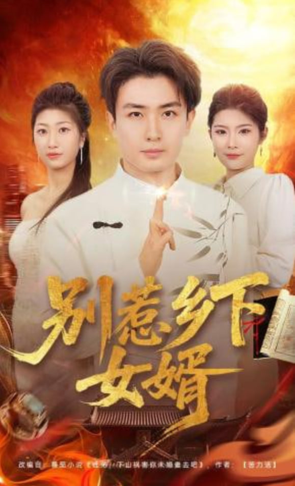 别惹乡下女婿全集