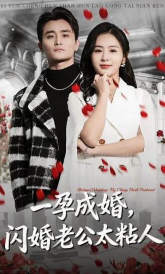 一孕成婚，闪婚老公太粘人全集
