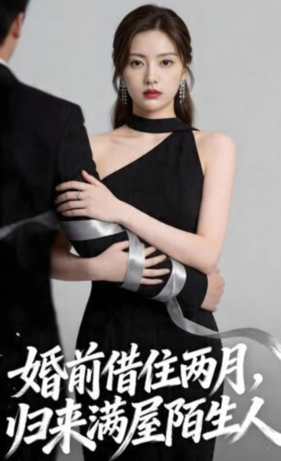 婚前借住两月，归来满屋陌生人全集
