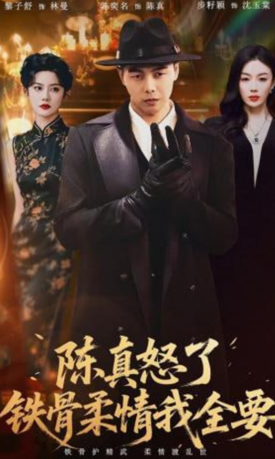 陈真怒了铁骨柔情我全要全集