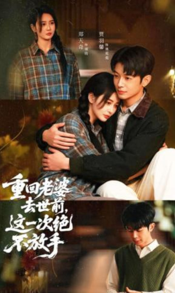 重回老婆去世前，这一次绝不放手全集