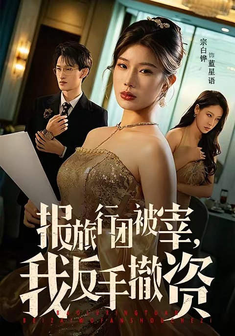 报旅行团被宰，我反手撤资全集