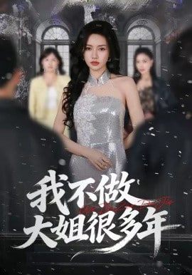 我不做大姐很多年全集