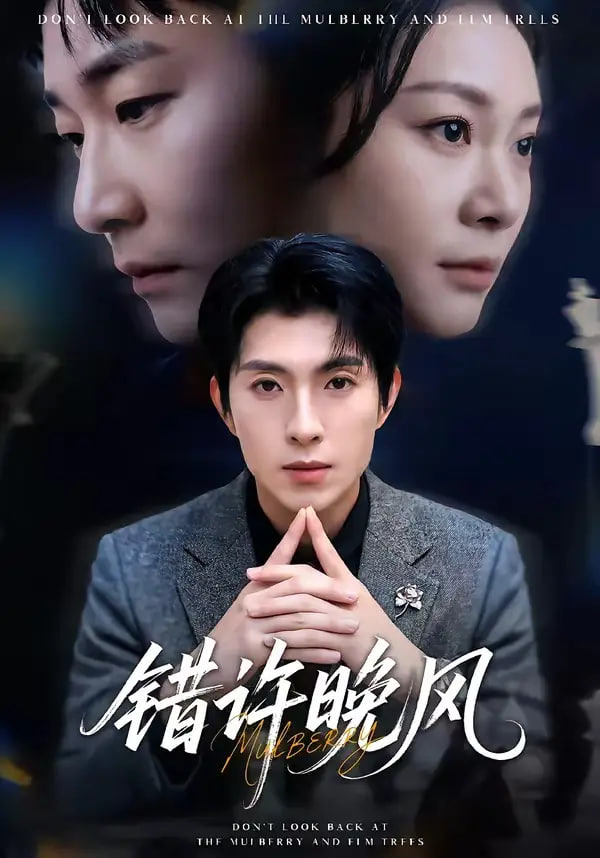 错许晚风全集