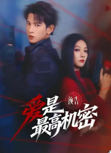 爱是最高机密全集