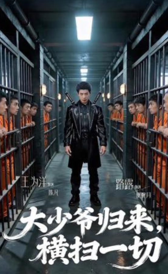 大少爷归来，横扫一切全集