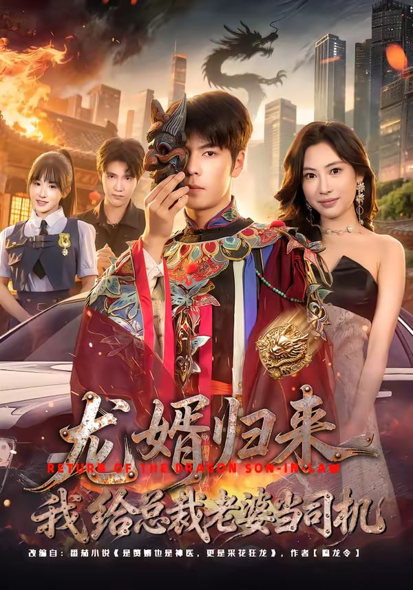 龙婿归来，我给总栽老婆当司机全集