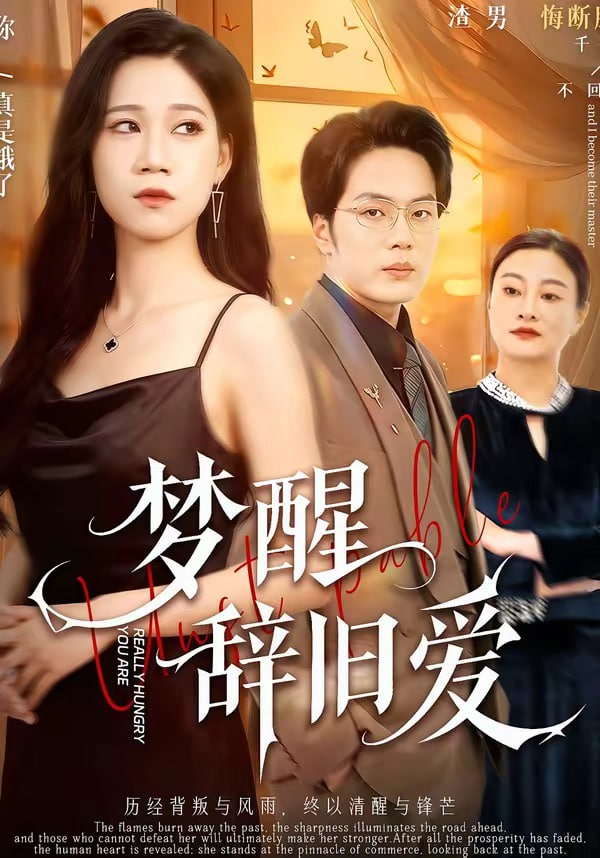 梦醴辞旧爱全集
