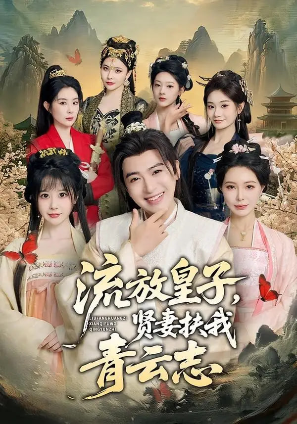 流放皇子，贤妻扶我青云志全集