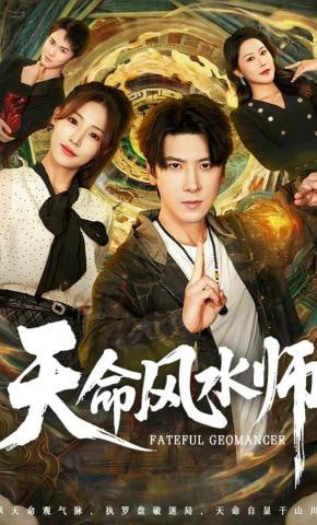 天命风水师全集
