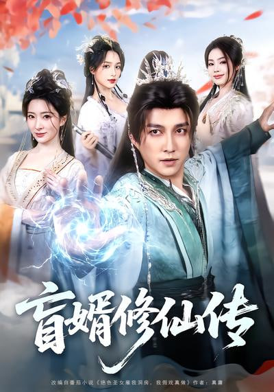 直婿修仙传全集