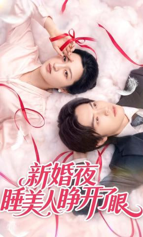 新婚夜睡美人睁开了眼全集